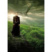 Pôster do filme Animais Fantásticos Newt Scamander 30x42cm Pôster do filme Animais Fantásticos Newt Scamander 30x42cm