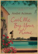 Pôster do filme Call Me by Your Name para decoração de parede, pintura em ferro Pôster do filme Call Me by Your Name para decoração de parede, pintura em ferro