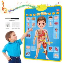 Pôster Educativo JOYLEARN Meu Corpo 41x56 cm para Crianças