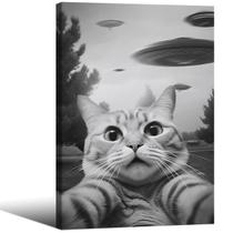 Pôster Haitunone preto e branco Funny Cat 40x60cm emoldurado