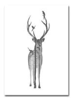 Poster Imagem De Cervo Para Moldura Decoração