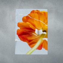 Pôster lambe-lambe - flores desabrochando de ranúnculo mod. 10 - Tooperfect