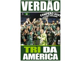 Pôster Palmeiras Campeão da Libertadores