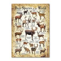 Pôster pintando espécies de veados vintage em tecido de 40x60cm Pôster pintando espécies de veados vintage em tecido de 40x60cm