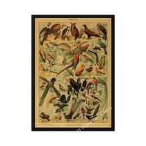 Pôster Retrô De Cogumelo, Impressões De Arte De Parede Vintage Para Sala De Estudo, Decoração De