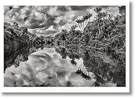 Pôster "Sebastião Salgado. Amazônia. Poster Jau River" Pôster "Sebastião Salgado. Amazônia. Poster Jau River"