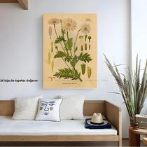 Pôster Vintage De Flores Botânicas DIY Para Decoração De Quarto, Casa, Bar E Café