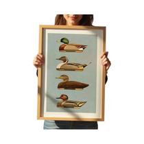 Pôsteres Decorativos Retrô Com Estampas De Patos Para Parede, Decoração Para Casa E Escritório Com