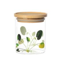 Pote de Vidro com Tampa Hermética de Bambu Natureza Viva Pote de Vidro com Tampa Hermética de Bambu Natureza Viva