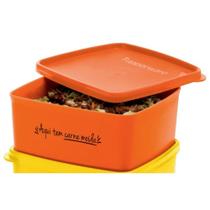 Pote freezer carne moída 400 ml da tupperware