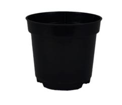 Pote Holambra Vasinho 06 NP para Cactos e Suculentas 400 un Pote Holambra Vasinho 06 NP para Cactos e Suculentas 400 un