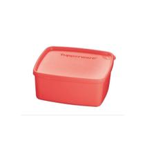 Pote Para Congelar No freezer Jeitosinho Da Tupperware