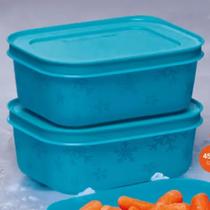 Pote para freezer congelar porções, feijão, carnes, 450 ml da tupperware