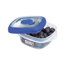 Pote Plástico Quadrado Hermético Flor Azul 280ml - Sanremo