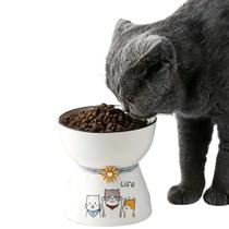 Pote Ração Cerâmica Comedouro Para Gatos Elevado Ergonômico Life