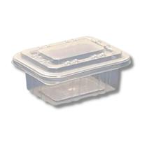 Pote Retangular Freezer e Micro ondas 180ml G304 Galvanotek com 10 unidades Pote Retangular Freezer e Micro ondas 180ml G304 Galvanotek com 10 unidades