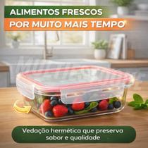 Pote Vidro Hermético Marmita Tampa 640ml Micro-ondas e Freezer