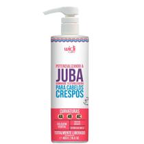 Potencializando a Juba Gommage Texturizadora Widi Care 480g