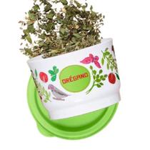 Potinho Oregano Linha Floral