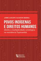Povos indígenas e direitos humanos