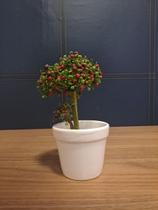 PP Arvore Pick Bolinha Vermelha