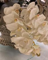 PP Orquídeas Médias Brancas Und