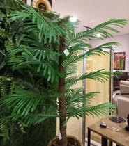 PP Planta Permanente Palmeira PP Planta Permanente Palmeira