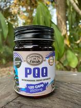 PQQ 120caps 2500mg Canteiro de ervas PQQ 120caps 2500mg Canteiro de ervas