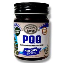 PQQ Pirroloquinolina Quinona 2500mg Canteiro de Ervas 120 Cápsulas PQQ Pirroloquinolina Quinona 2500mg Canteiro de Ervas 120 Cápsulas