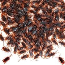 Prank Fake Roaches GXXMEI 500 unidades de borracha para insetos assustadores