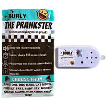 Prank Noise Maker Burly Effects Hidden 10 sons com baterias