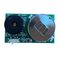 Prank Stuff, Adult Prank, Mini Pcb estimula o ruído e o choro de insetos, PCB irritante, tamanho pequeno e bateria de longa duração Comece a brincadeira na festa, escritório, casa