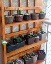 Prateleira, floreira, suporte plantas, painel de plantas P14