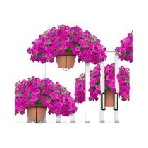 Prateleira Flutuante De Metal Para Jardim, Suporte Para Plantas De Interior E Vasos, Acessórios Para