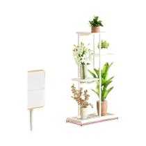 Prateleiras De Ferro Para Plantas, Suporte Múltiplo Para Vasos De Flores, Organizador De Exibição