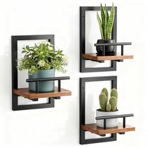 Prateleiras flutuantes de parede Sbosbo, kit com 3 suportes para plantas de interior