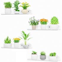 Prateleiras flutuantes para plantas de janela Lifewit, pacote com 4 unidades de Prateleiras flutuantes para plantas de janela Lifewit, pacote com 4 unidades de
