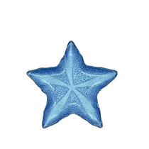 Prato de Vidro Estrela do Mar Grande Azul Marina 28 x 3cm - Unid. Prato de Vidro Estrela do Mar Grande Azul Marina 28 x 3cm - Unid.