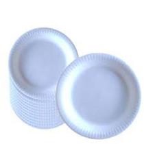 Prato isopor 23cm com 100 unidades