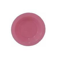 Prato Plástico Merenda Escolar Rosa 21 cm - 100 Pçs Prato Plástico Merenda Escolar Rosa 21 cm - 100 Pçs