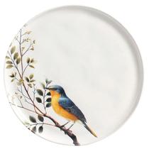Prato raso 1231127701 bio birdy porto brasil Prato raso 1231127701 bio birdy porto brasil