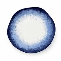 Prato Raso Jantar Refeição 27,5cm Galápagos Porcelana Decorada Oxford