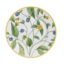 Prato Raso Silvestre 29cm Refeição Cerâmica Floral Alleanza Prato Raso Silvestre 29cm Refeição Cerâmica Floral Alleanza