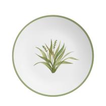 Prato Sobremesa Coup Nature By Aurora Cerâmica 21cm Alleanza