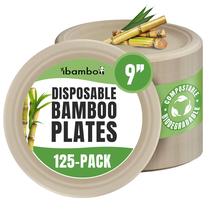 Pratos de papel de bambu ibambo compostáveis de 9 polegadas (pacote com 125) Pratos de papel de bambu ibambo compostáveis de 9 polegadas (pacote com 125)