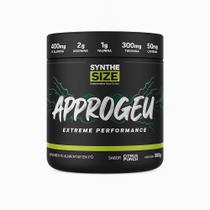 Pré treino Appogeu 300g Pote