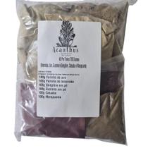 Pre-Treino Turbo 6 (Beterraba, Guaraná, Uva em pó, Gengibre, Catuaba e Marapuama)