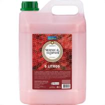 Premisse Sabonete Liq.Prem.Morango/Champ 5Lt Premisse Sabonete Liq.Prem.Morango/Champ 5Lt