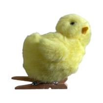 Prendedor Decorativo de Páscoa - Pintinho olhando para Direita - 6cm - 1 unidade - Rizzo Prendedor Decorativo de Páscoa - Pintinho olhando para Direita - 6cm - 1 unidade - Rizzo