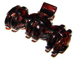 Prendedor Medio 7,0x4,0cm Tartaruga De Acetato Musa Kalliopi